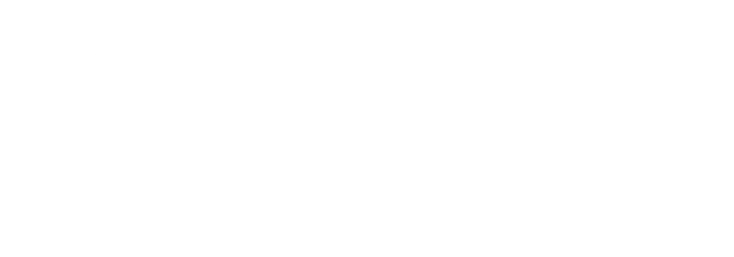 4LNS LOGO