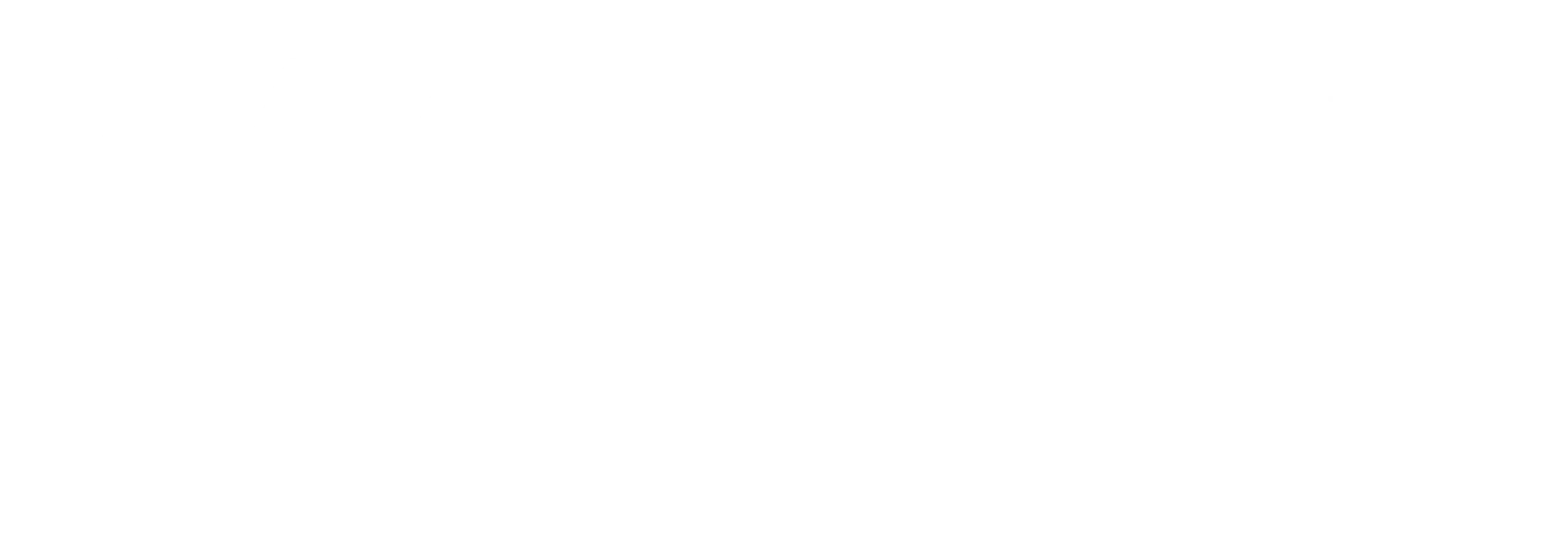 MATT FINE LOGO