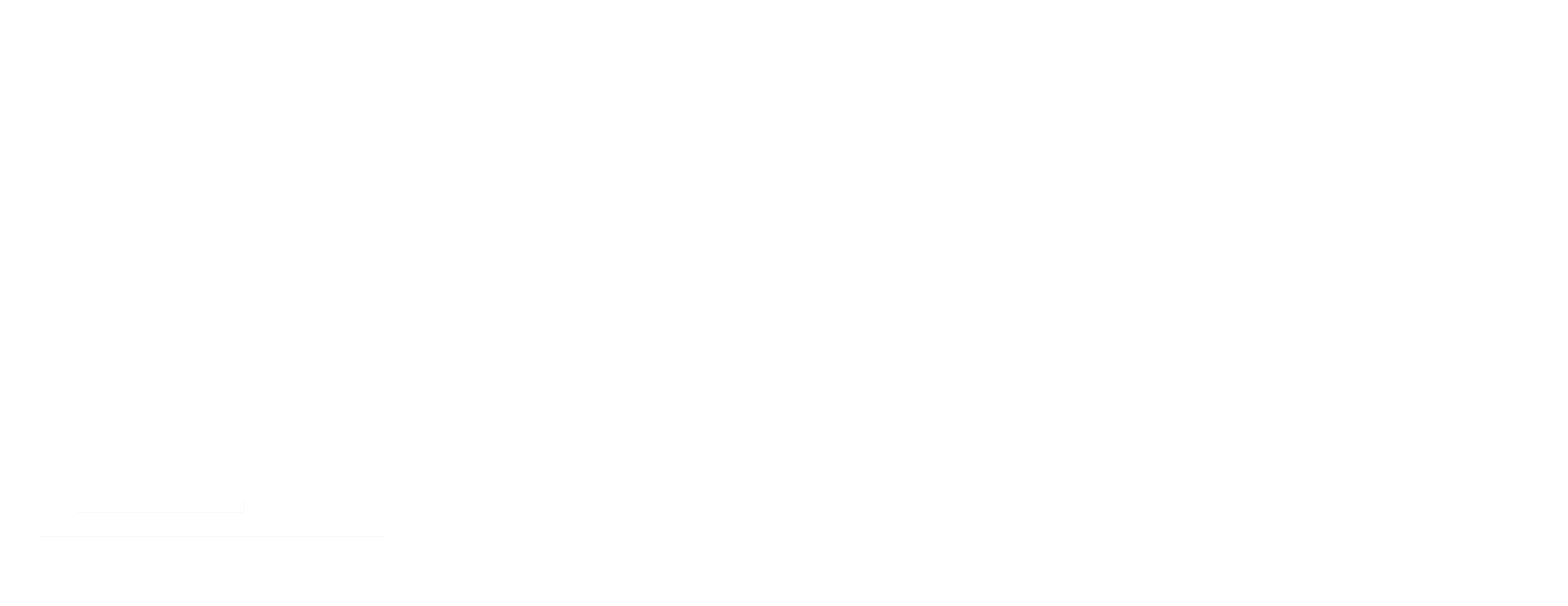 PORTA STRATEGIES LOGO