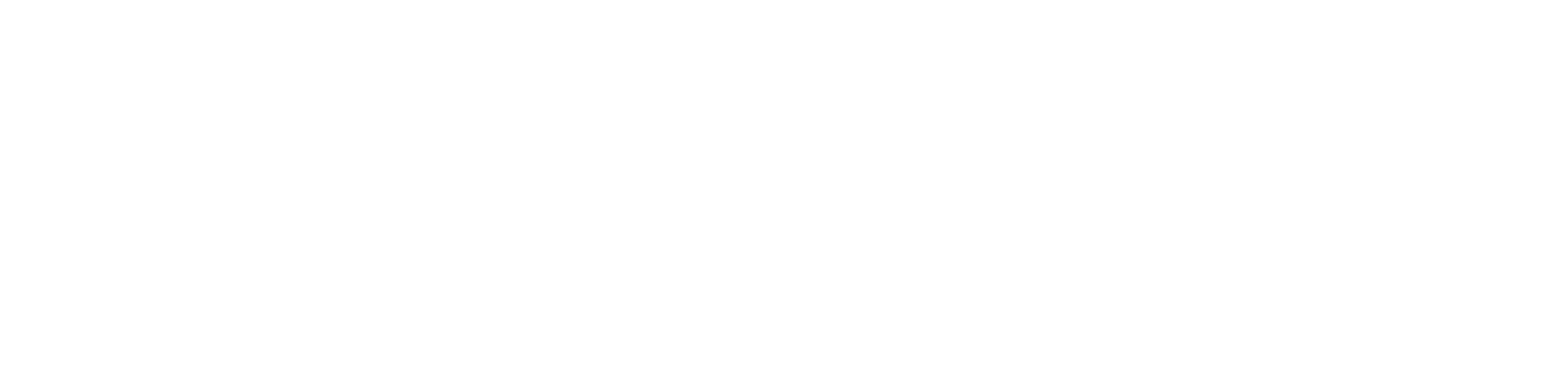 SYMLER LOGO